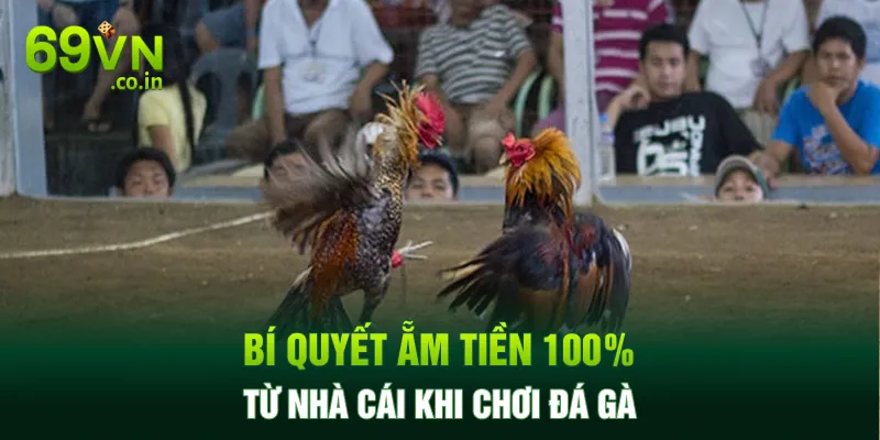 Bí quyết ẵm tiền 100% từ nhà cái khi chơi đá gà Bí quyết ẵm tiền 100% từ nhà cái khi chơi đá gà