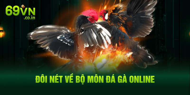 Đôi nét về bộ môn đá gà Online Đôi nét về bộ môn đá gà Online