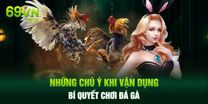 Những chú ý khi vận dụng bí quyết chơi đá gà Những chú ý khi vận dụng bí quyết chơi đá gà