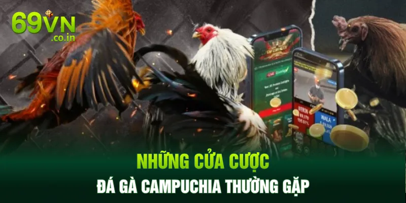 Những cửa cược đá gà Campuchia thường gặp Những cửa cược đá gà Campuchia thường gặp