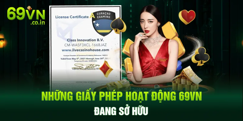 Những giấy phép hoạt động 69VN đang sở hữu Những giấy phép hoạt động 69VN đang sở hữu