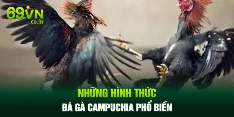 Những hình thức đá gà campuchia phổ biến Những hình thức đá gà campuchia phổ biến