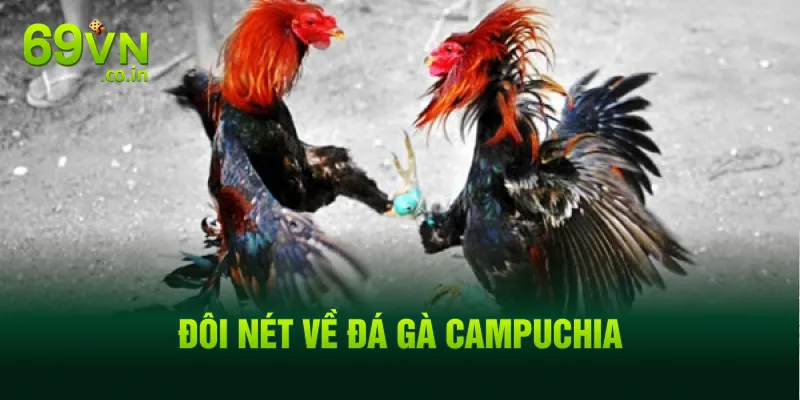 Đôi nét về đá gà Campuchia Đôi nét về đá gà Campuchia