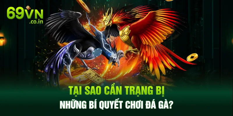 Tại sao cần trạng bị những bí quyết chơi đá gà? Tại sao cần trạng bị những bí quyết chơi đá gà?